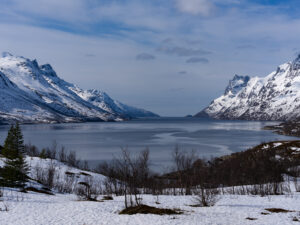 La vue sur le fjord Ersfjordbotn en Norvège est à couper le souffle. Depuis un point d'observation en hauteur, on embrasse un panorama majestueux qui mêle la grandeur des montagnes environnantes à la sérénité des eaux scintillantes du fjord. Les sommets des montagnes, couverts de neige éternelle, se dressent fièrement dans le ciel, reflétant leur image sur les eaux calmes du fjord. À leurs pieds, des pentes boisées descendent en pente douce vers les rives du fjord, offrant une palette de verts luxuriants contrastant avec la blancheur des sommets enneigés. Des cascades argentées dévalent les flancs des montagnes, ajoutant une touche de dynamisme à cette scène paisible. Au loin, l'horizon se perd dans les brumes délicates, créant une atmosphère mystique et envoûtante. L'air pur et frais emplit les poumons, tandis que le silence impressionnant de la nature norvégienne enveloppe l'observateur dans une sensation de calme et de contemplation.